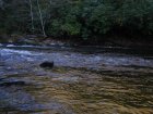 Chattooga River Cliffs Trail (lower)