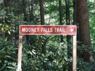 Mooney Falls & Trail