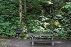 Chimney Tops Picnic Area