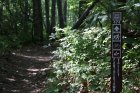 Panthertown Valley Trail #474 (East)