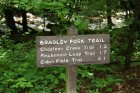 Chasteen Creek Trail