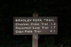 Bradley Fork Trail