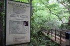 Alum Cave Bluffs Trail to Mount LeConte